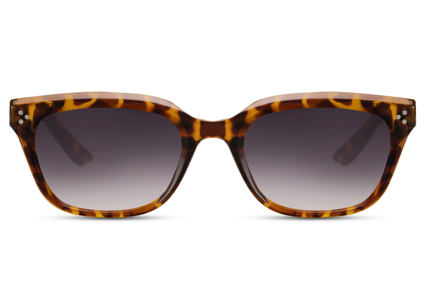Animal Print Black Color Wayfarer Sunglasses