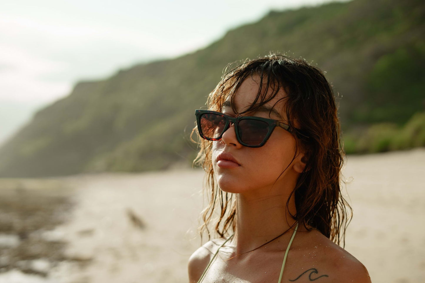 Double Brown Shade Cat Eye Sunglasses