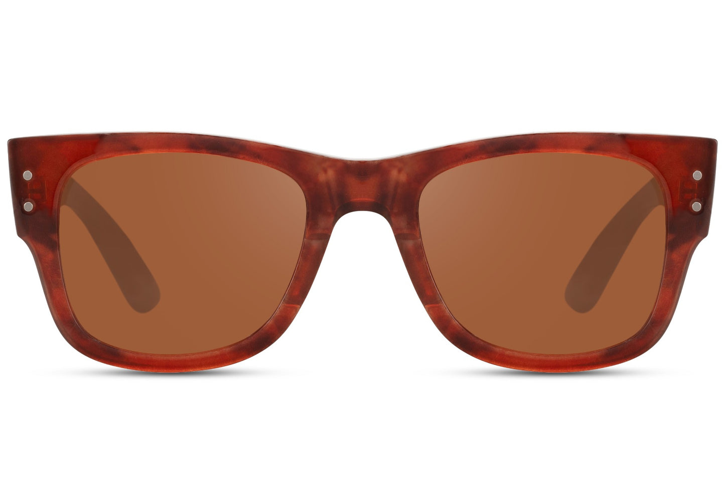 Iconic Premium Brown Wayfarer Sunglasses