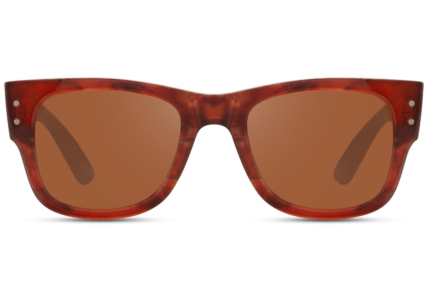 Iconic Premium Brown Wayfarer Sunglasses