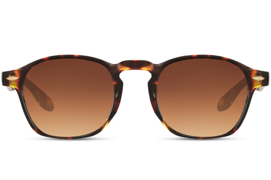 Brown Color Wayfarer Sunglasses For Men