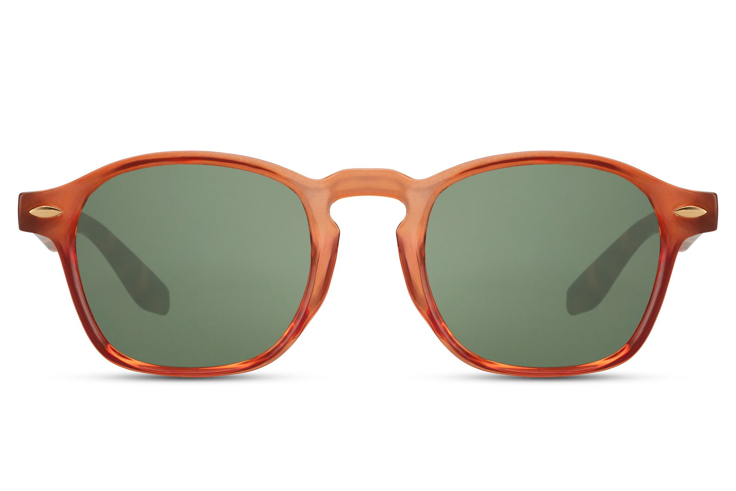 Fancy Design Wayfarer Sunglasses