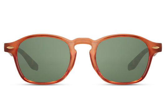 Fancy Design Wayfarer Sunglasses