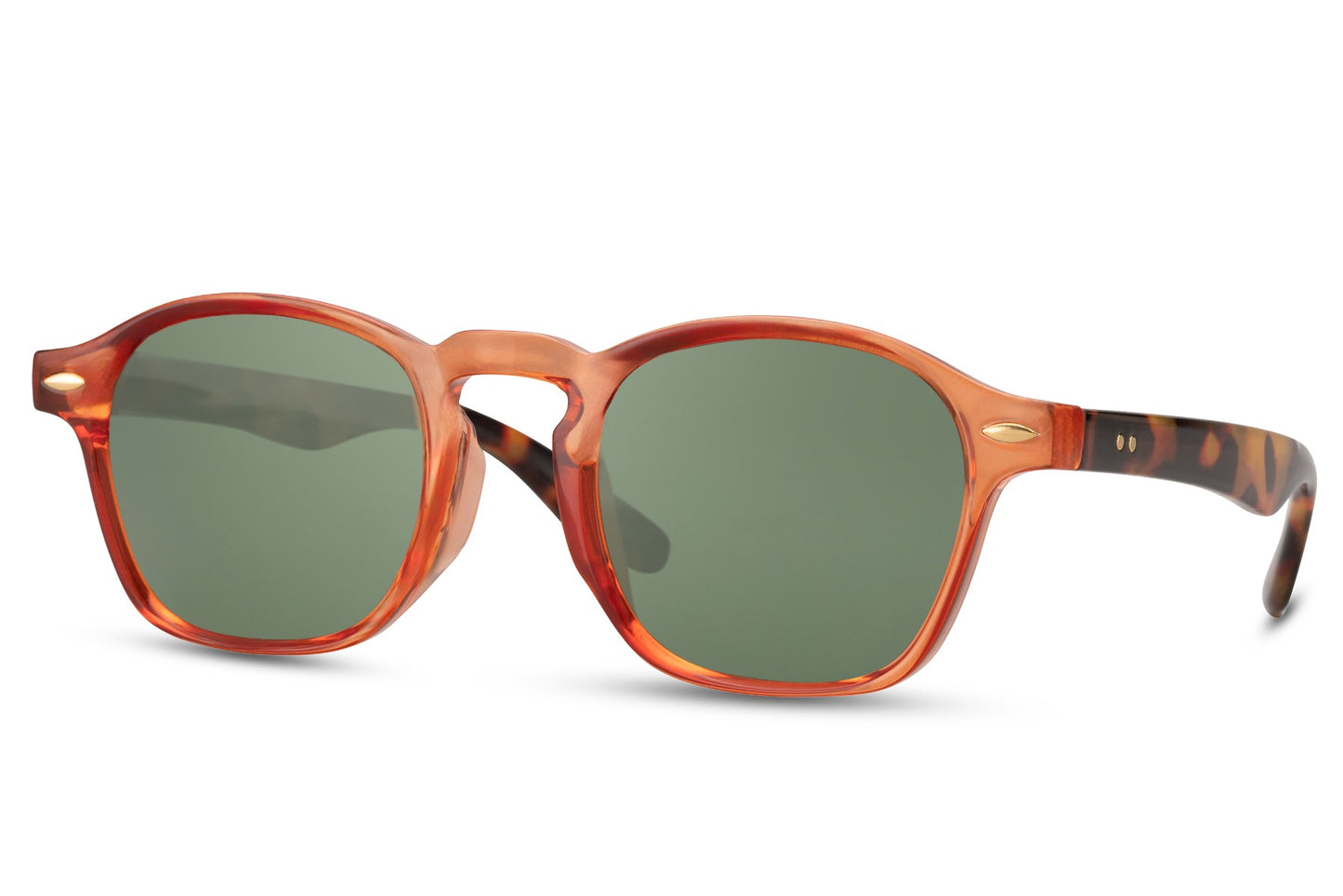 Fancy Design Wayfarer Sunglasses